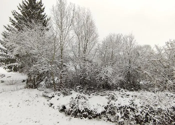 Les Eylauds Apartment Pionsat