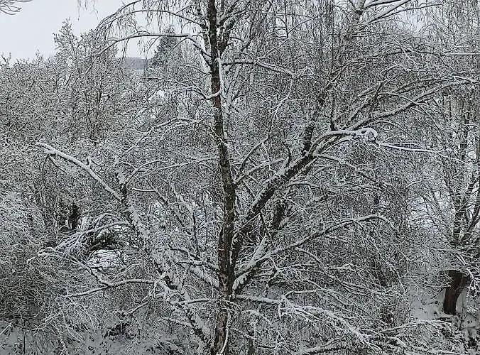 Les Eylauds Apartment *